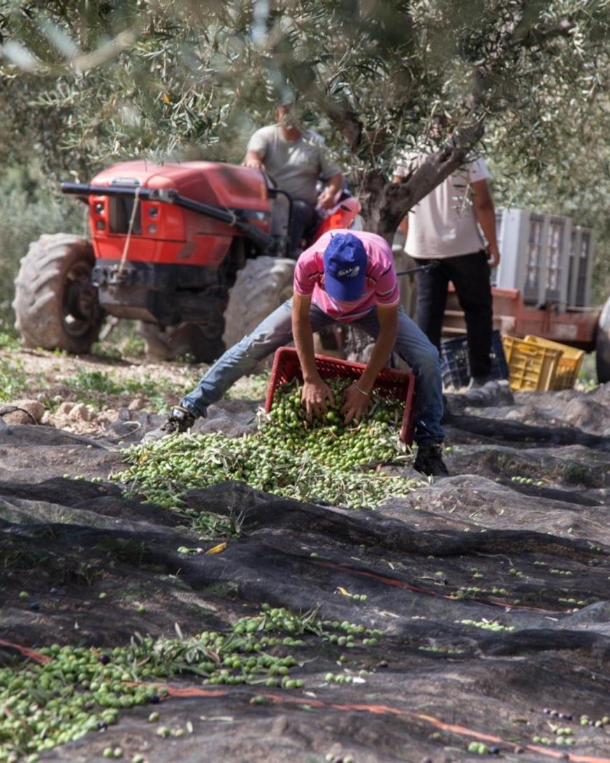 Pensjonat Azienda Agricola Mandranova Palma di Montechiaro Zewnętrze zdjęcie