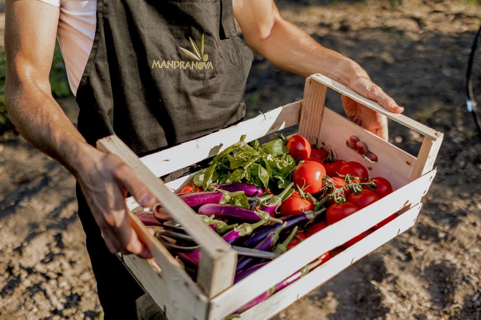 Pensjonat Azienda Agricola Mandranova Palma di Montechiaro Zewnętrze zdjęcie